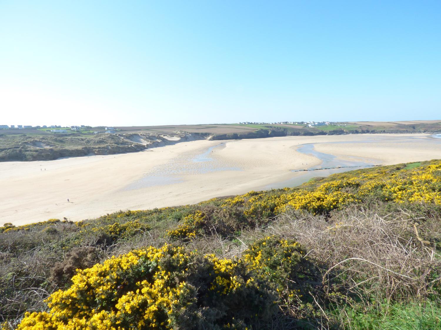 Fistral Breeze Villa New Quay Eksteriør billede